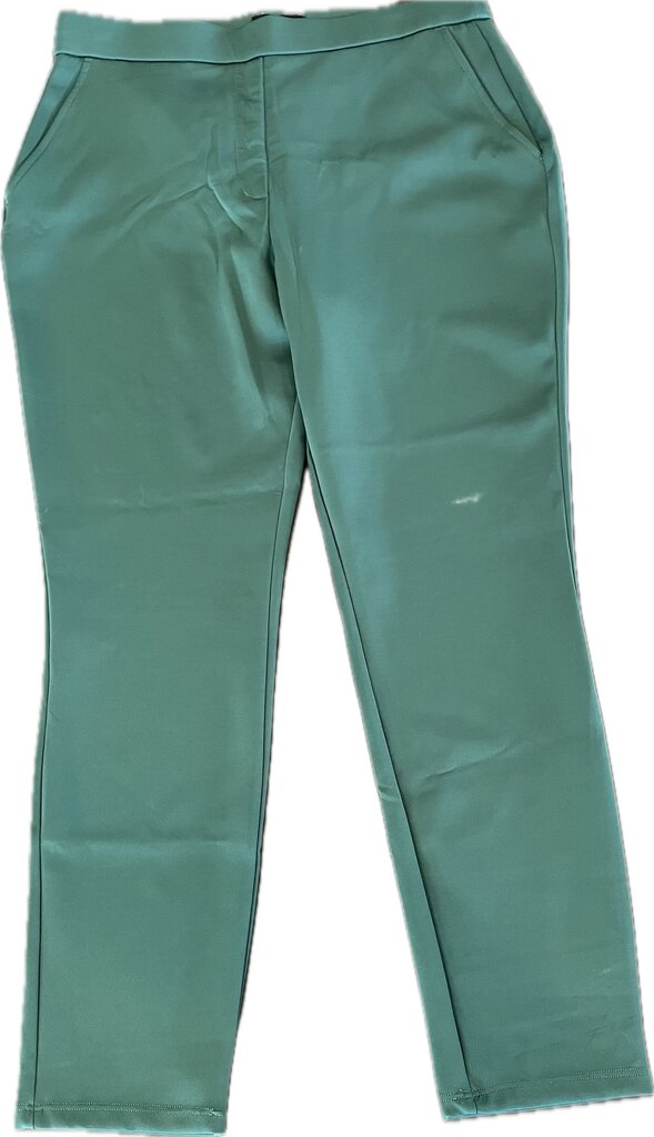 express WOMEN'S PANTS L