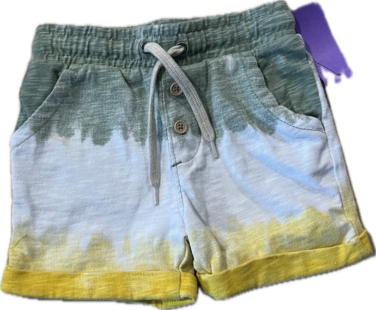 Wonder Nation BOY'S SHORTS 2T