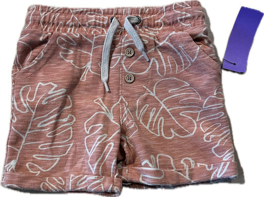 Wonder Nation BOY'S SHORTS 2T