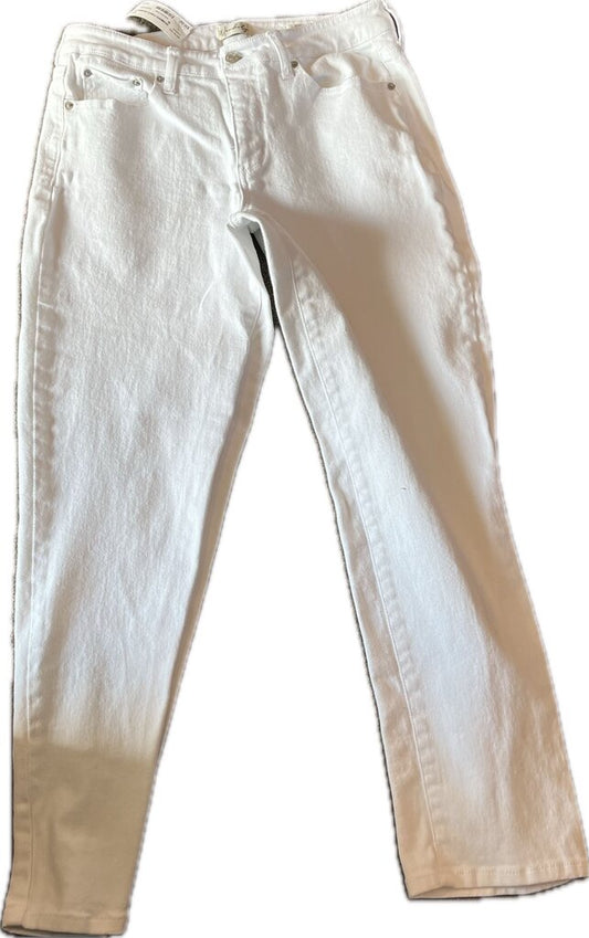 Wonderly WOMEN'S PANTS 10