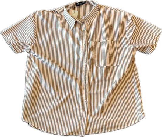 KITTENISH WOMEN'S TOPS L